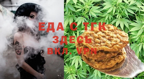 стаф Алзамай