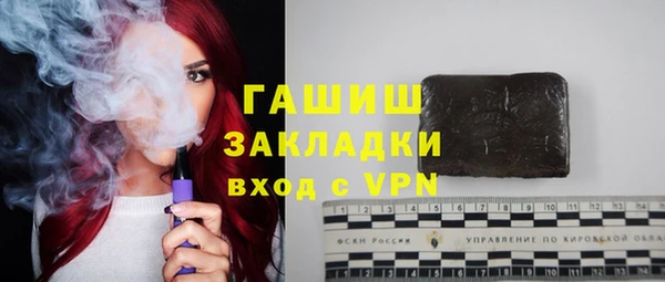 стаф Алзамай