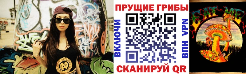 купить   мега tor  Галлюциногенные грибы прущие грибы  Зея 